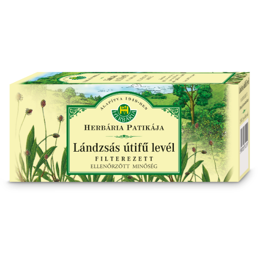 Herbária Lándzsás útifű levél 25 db Herbária Lándzsás útifű levél 25 db